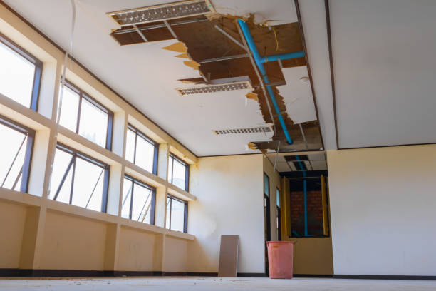 Reliable Inglis, FL Water damage restoration Solutions