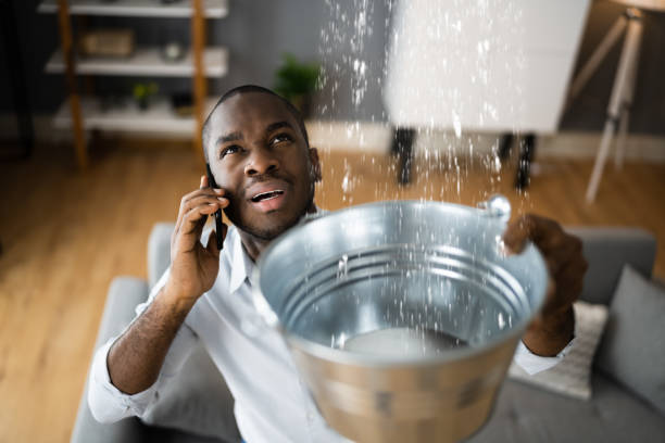 Best 24-hour water damage restoration  in Inglis, FL