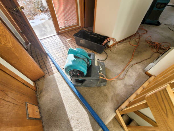 Best Flooded house restoration  in Inglis, FL