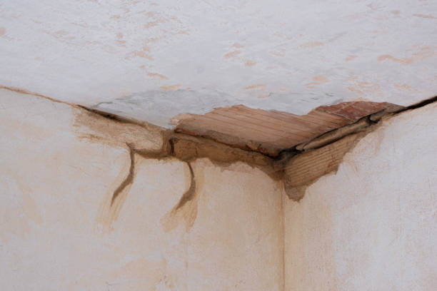 Best Flood restoration services  in Inglis, FL