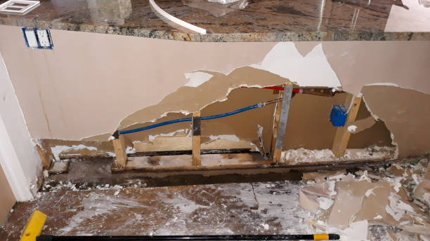 Best Water damage restoration near me  in Inglis, FL