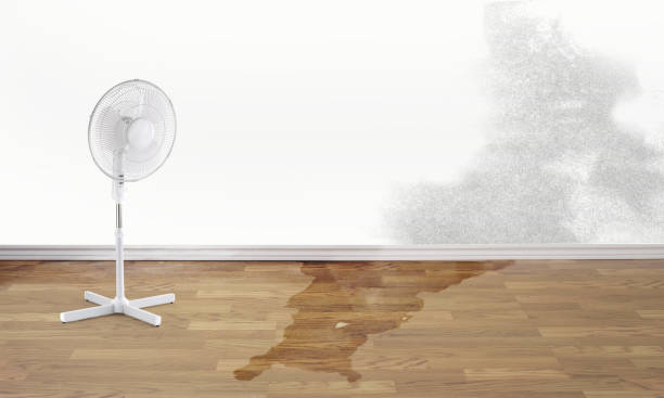 Best Flooded house restoration  in Inglis, FL