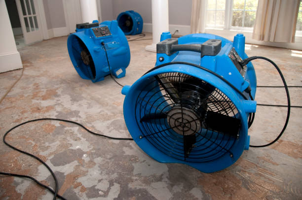 Water damage restoration process in Inglis, FL
