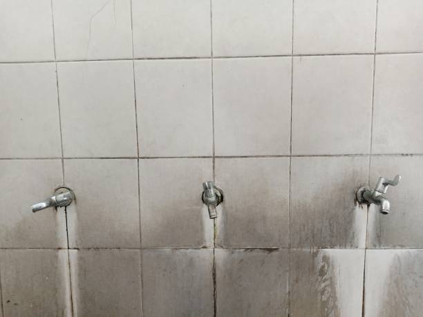 Best Commercial water damage restoration  in Inglis, FL