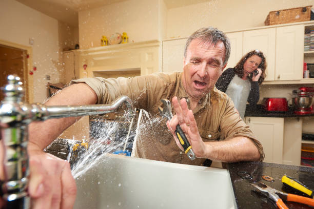 Best Water damage restoration process  in Inglis, FL